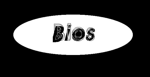 Bios2.JPG - 12877 Bytes